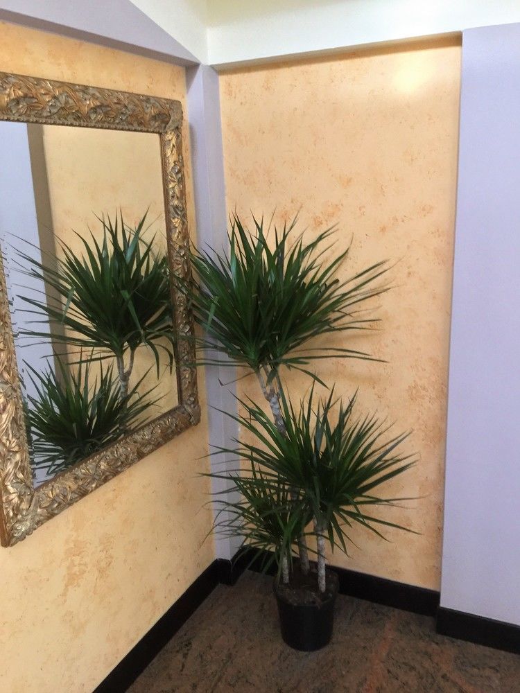 Hotel Marco Polo Self Check-In Bologna Eksteriør billede